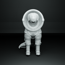 cosmo spazio cane meraviglia figura serie 6 arte giocattolo statua comico i fumetti miniatura mini astronauta tutori galassia 3d print model - Mito3D