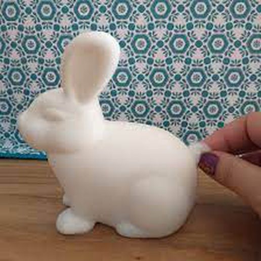 cottony rabbit