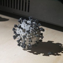 covid 19 coronavirus romanzo biologia 3d print model - Mito3D
