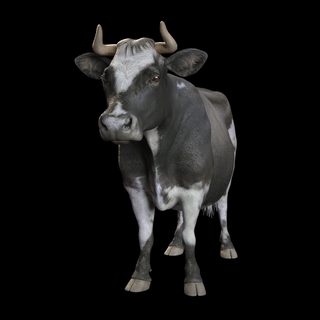 vaca vaquero vaquera niña occidental mujer caballo granja rodeo Toro mecánico toro adolescente barril carrera 3d print model - Mito3D
