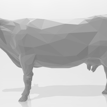 vache 3d art animaux taureau bétail bœufs boeuf autoritaire soigné Lait Viande milf buffle mule 3d print model - Mito3D