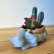 cow marguerite home plant flower pot vase garden nature gifts planter flowers art toy low poly auditorium bathtub boards woods decoration deco purpose funny cartoon basin entrance cuisine office storage pocket holder cup harsh animals animal container bovine 3d print model - Mito3D