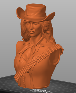 Cowgirl Wunder Frau Büste Cowboy Gerechtigkeit Liga Western alt Westen Statue dc 3d print model - Mito3D