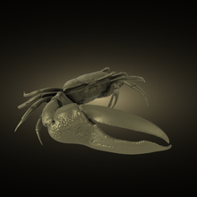 Crabe 3d print model - Mito3D