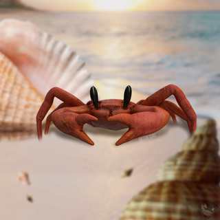 Crabe animal plage Orange nature l'eau océan faune forêt mignonne Sirène Danse dessin animé 3d print model - Mito3D