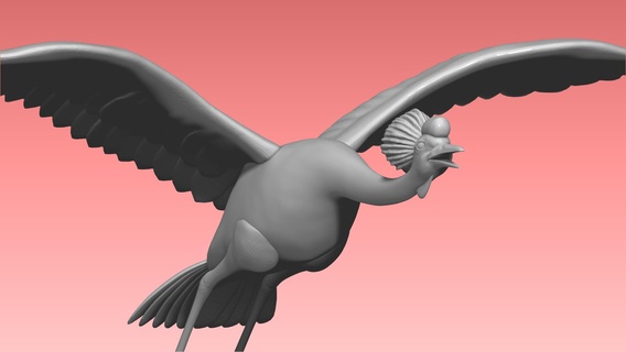 crane bird animal nature uganda lake 3d print model - Mito3D