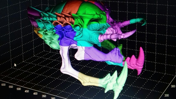 crane predator mask scale 1 25 pieces cranium alien 3d print model - Mito3D