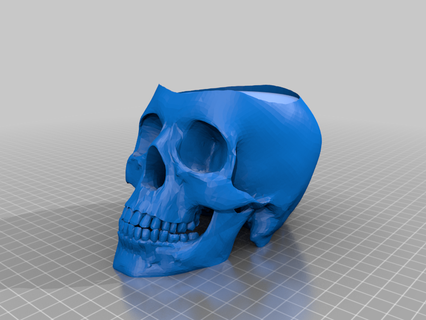craneo cenicero cenicero cabeza cenicero craneo filamento cabeza magna1 pla cráneo accesorios accesorios Moda 3d print model - Mito3D