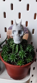 cranio cranium cornes anatomie Humain crâne modèle 3d stl démon mixeur 3d print model - Mito3D