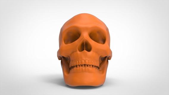 kafatası Sanat 3d print model - Mito3D