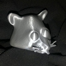 louco guaxinim gta arte animal cabeça escultura val 3d print model - Mito3D