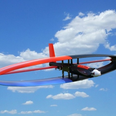 crazy wild ellipse wing experimental game airplane flying 3D print model - Mito3D