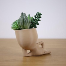 kreativ Vase Robert Pflanze 3d print model - Mito3D