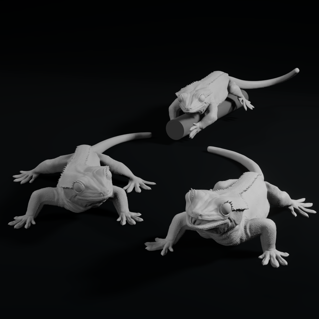 crista gecko lagarto animal decoração réptil fofa brinquedo mini realista esculpir real 3D print model - Mito3D