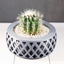 criss cross maceta casa -interior suculentas-maceta suculentas las macetas los cactus plantas 3d print model - Mito3D