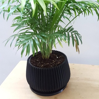 crock pot cover plant grow pattern air prune 3d print model - Mito3D