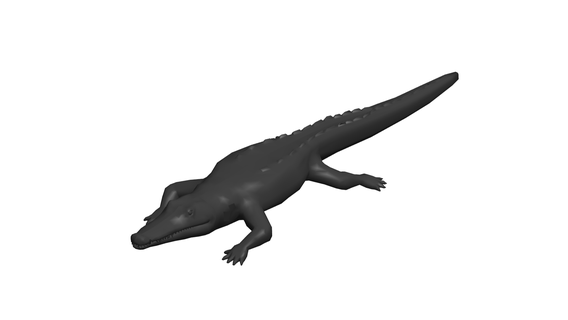 crocodilo 3d print model - Mito3D