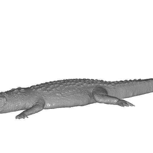 crocodile art animal sculpture 3D print model - Mito3D