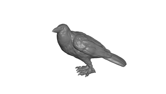 crow Art - animal sculpture jungle art 3d print model - Mito3D