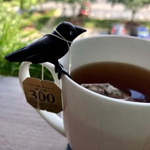 crow friend your cup game bird clip raven spooky tea witch witches witchy animals 3d print model - Mito3D