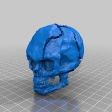 crusty skull dungeons and dragons rpg sculptures 3d print model - Mito3D