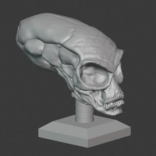 crystal skull alien movie ufo relics props decor collectible 3d print model - Mito3D