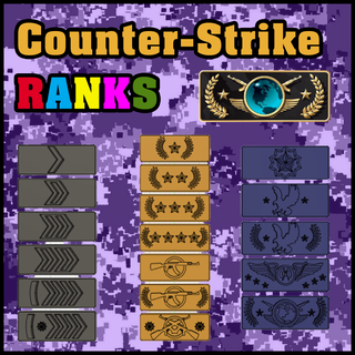 csgo ranks counterstrike source2 ranges shooter game fps counter strike 2 valve steam army soldier military 3d print model - Mito3D