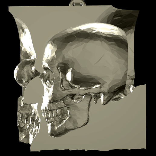 cubic skull pendant jewelry 3D print model - Mito3D
