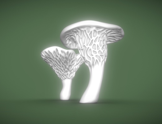 scultura naturalista funghi mi piacerebbe magro casa parete decorazione 3d print model - Mito3D