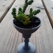 cup art table decoration planter glass vase house 3d print model - Mito3D