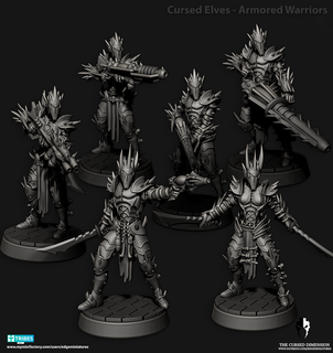 cursed elves - armored warriors Game wargaming aeldar raider raiders war hammer 40 000 drukhar dark eldar kabalite warrior 3d print model - Mito3D