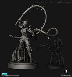 cursed elves - queen arena + pinup Game wargaming war hammer drukhar dark elf warrior wytch witch fighter gladiator 3d print model - Mito3D