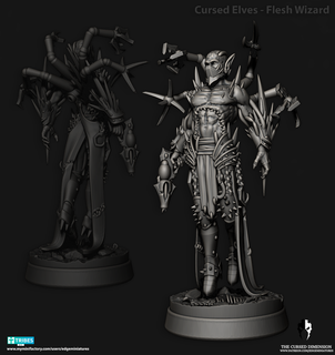 cursed elves 20 - flesh wizard wargaming dark eldar aeldar elf wrack drukhar war hammer 3d print model - Mito3D