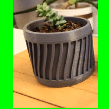 curva cactus sencillo maceta artilugio planta verde decoración moderno minimalista suculentas amante salón 3d print model - Mito3D