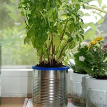 kundenspezifische self-Bewässerung Pflanzer ananas-Dosis home Haushalt 3d print model - Mito3D