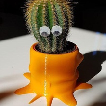 cute alien cactus planter pot home 55mm cup planters outdoor garden 3d print model - Mito3D