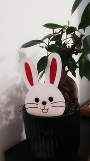 cute bunny face easter rabbit toy painting party 3d print model - Mito3D