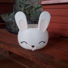 cute bunny vase planter rabbit vaso garden jardim 3d print model - Mito3D