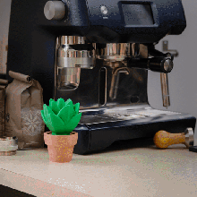 mignonne cactus décor impression endroit 3d print model - Mito3D