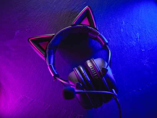 cute cat ears headphones ear headphone headset gaming streaming costumes cosplay neko anime catears 3d print model - Mito3D