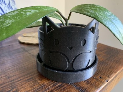 niedlich Katze Pflanzer Drainage Löcher saftig Kitty kat 3d print model - Mito3D