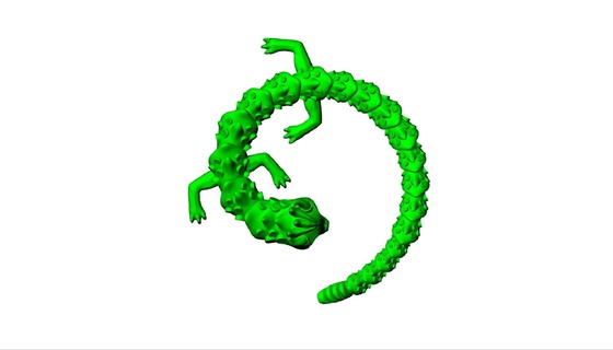 niedlich Drachen Spiel china dragon flexible toy print flexi Spielzeug artikuliert Dan Daniel Sopala Fabrik drucken Fantasie Kaiserliche zappeln baby Moment beweglich 3d print model - Mito3D