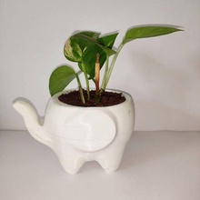 cute elephant planter art pot cutest easy print place supports 3d print model - Mito3D