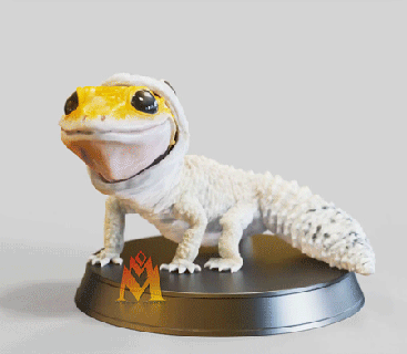fofa gecko pele vrml cor 3d impressão stl incluído lizard lagarto leopardo estomatópodes camarão réptil mar criatura 3d print model - Mito3D