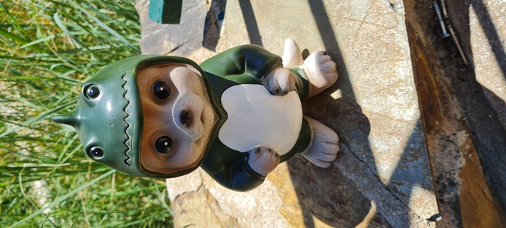 cute marmot garden gnome decoration groundhog beaver toy figurine object exterior 3d print model - Mito3D