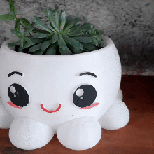 carina polpo vaso Polvo fioriera giardino jardim 3d print model - Mito3D