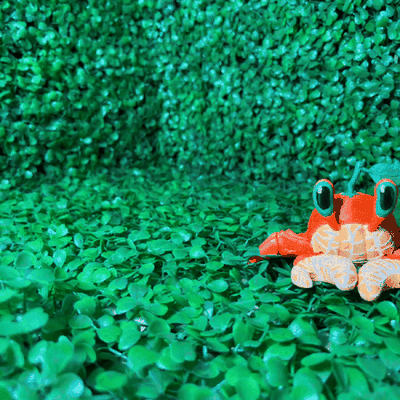 fofa laranja caranguejo flexi stl 3mf multicolorido jogos flexível articulado printinplace brinquedos diversão brinquedo figura presentes animal 3d print model - Mito3D