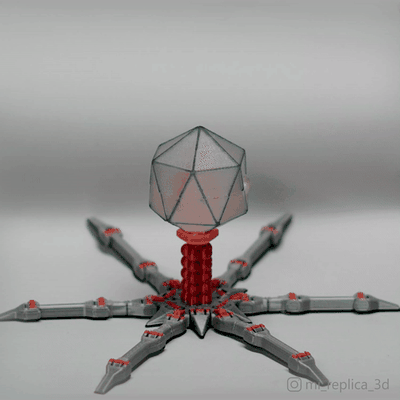 cute print in place flexi bacteriophage t4 support free printinplace supportfree virus 3d print model - Mito3D