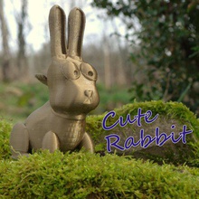 lindo conejo casa campo ornamento escritorio de la oficina biblioteca stl 12 jardín pascua regalo corazón animal zanahoria 3d print model - Mito3D