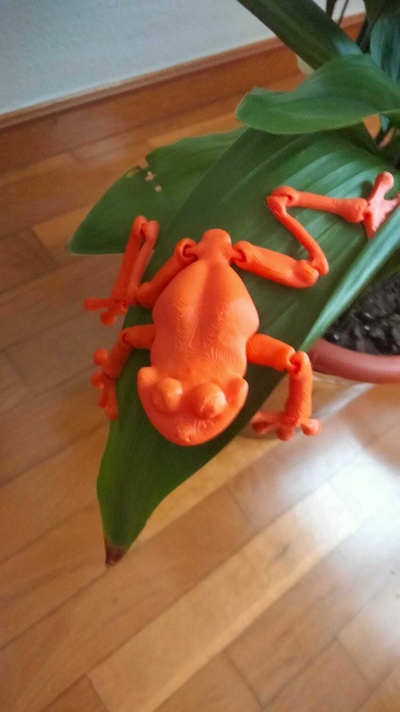 lindo herido articulado rana animales verde flexi selva salvaje apoyo multicolor 3d print model - Mito3D